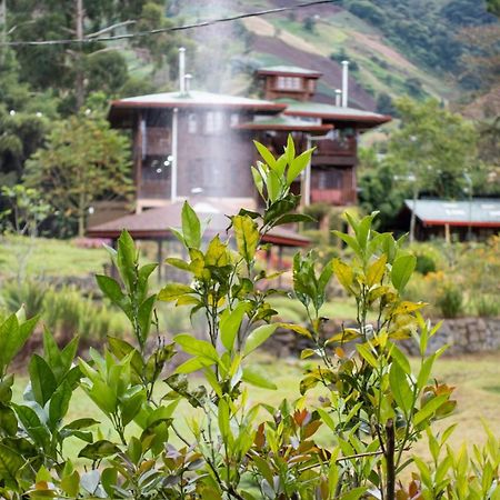 Los Quetzales Ecolodge & Spa Серро-Пунта Екстер'єр фото
