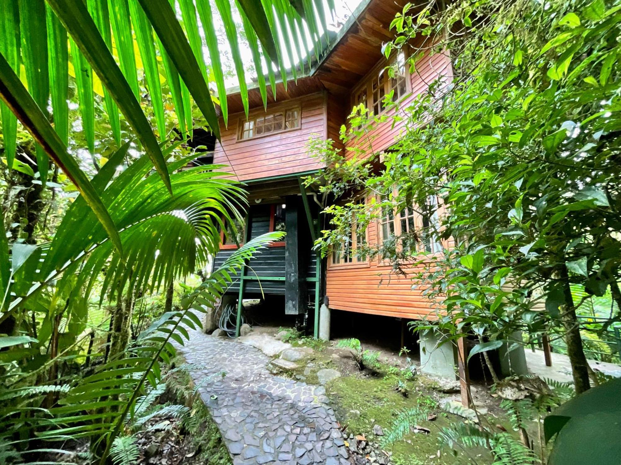 Los Quetzales Ecolodge & Spa Серро-Пунта Екстер'єр фото