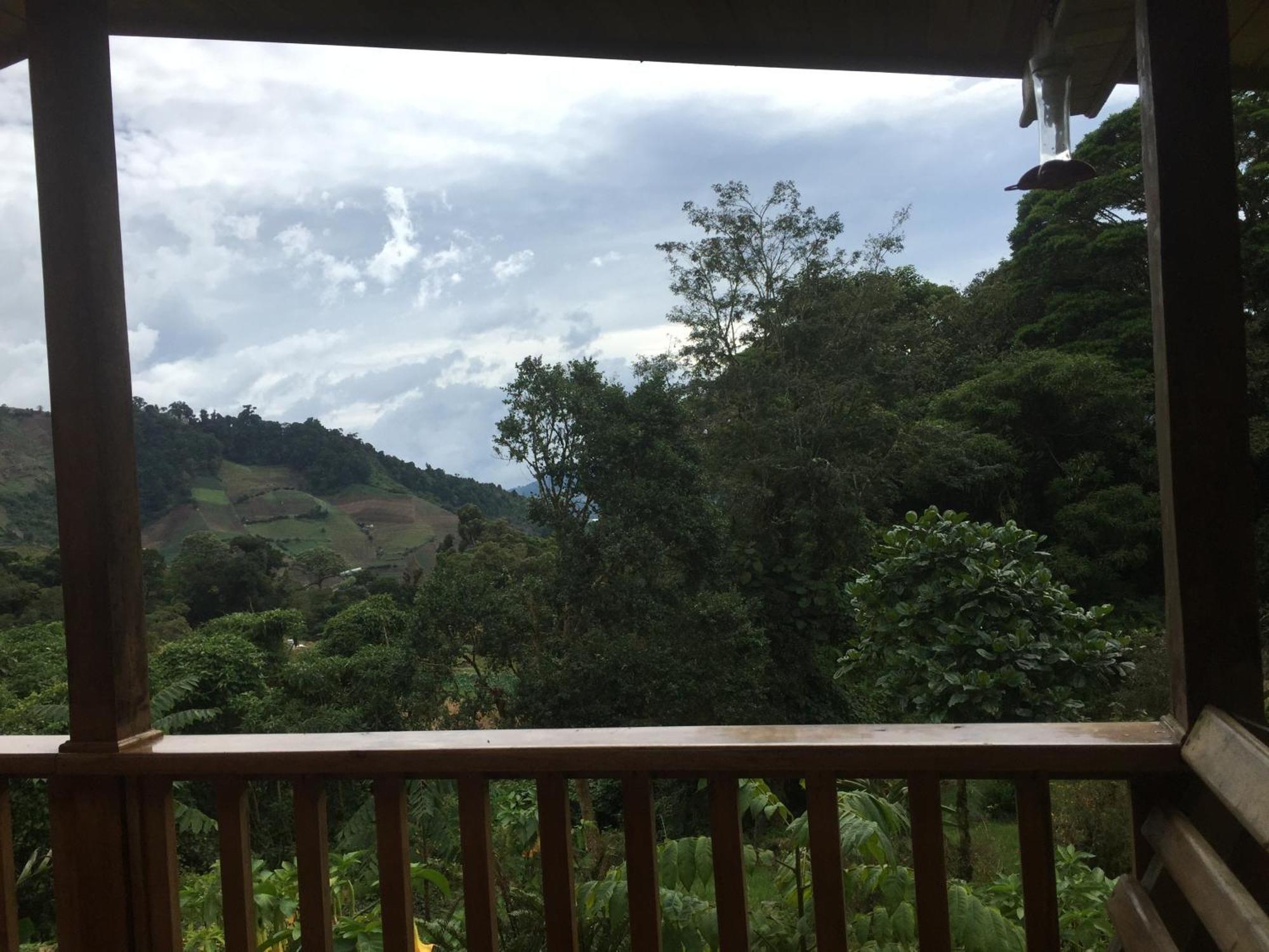 Los Quetzales Ecolodge & Spa Серро-Пунта Екстер'єр фото