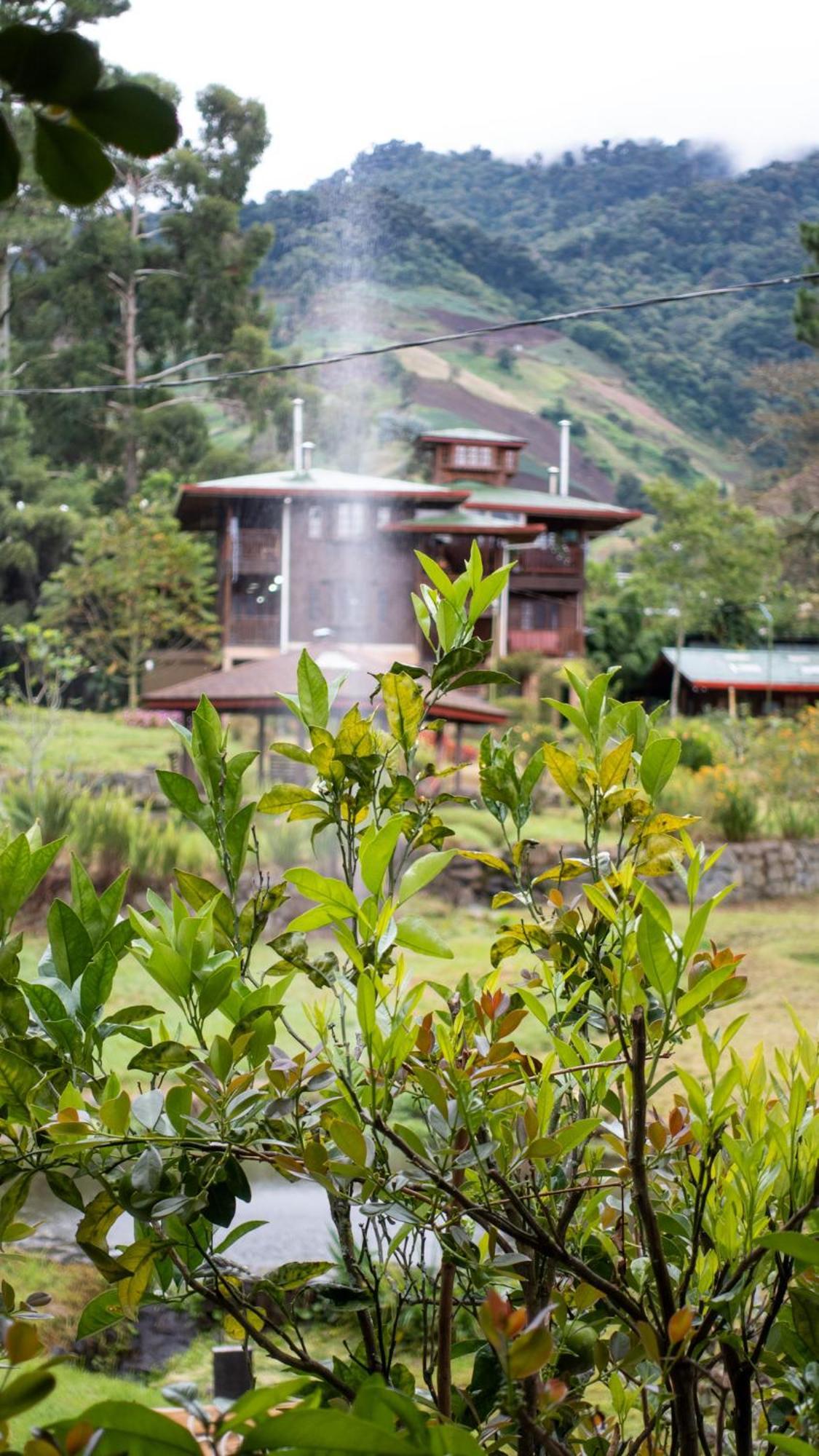 Los Quetzales Ecolodge & Spa Серро-Пунта Екстер'єр фото