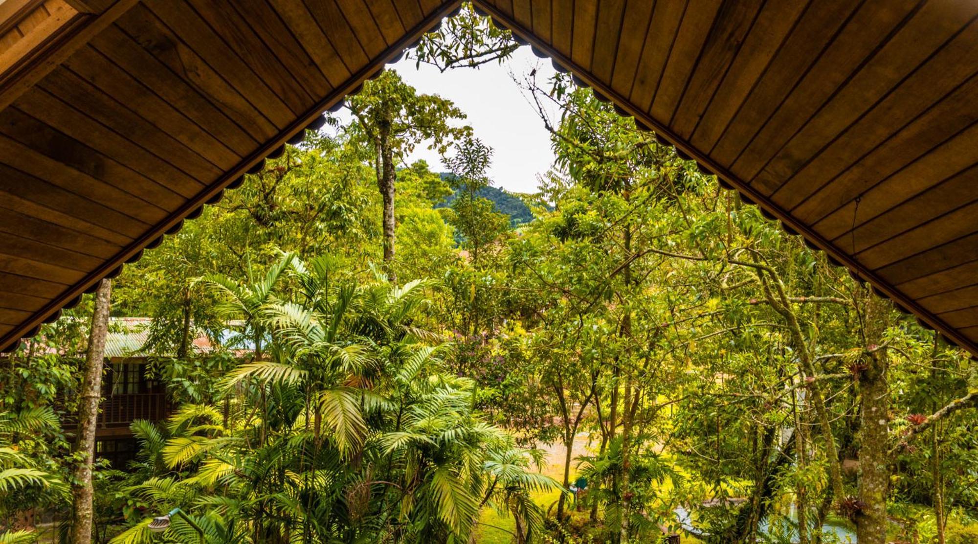 Los Quetzales Ecolodge & Spa Серро-Пунта Екстер'єр фото