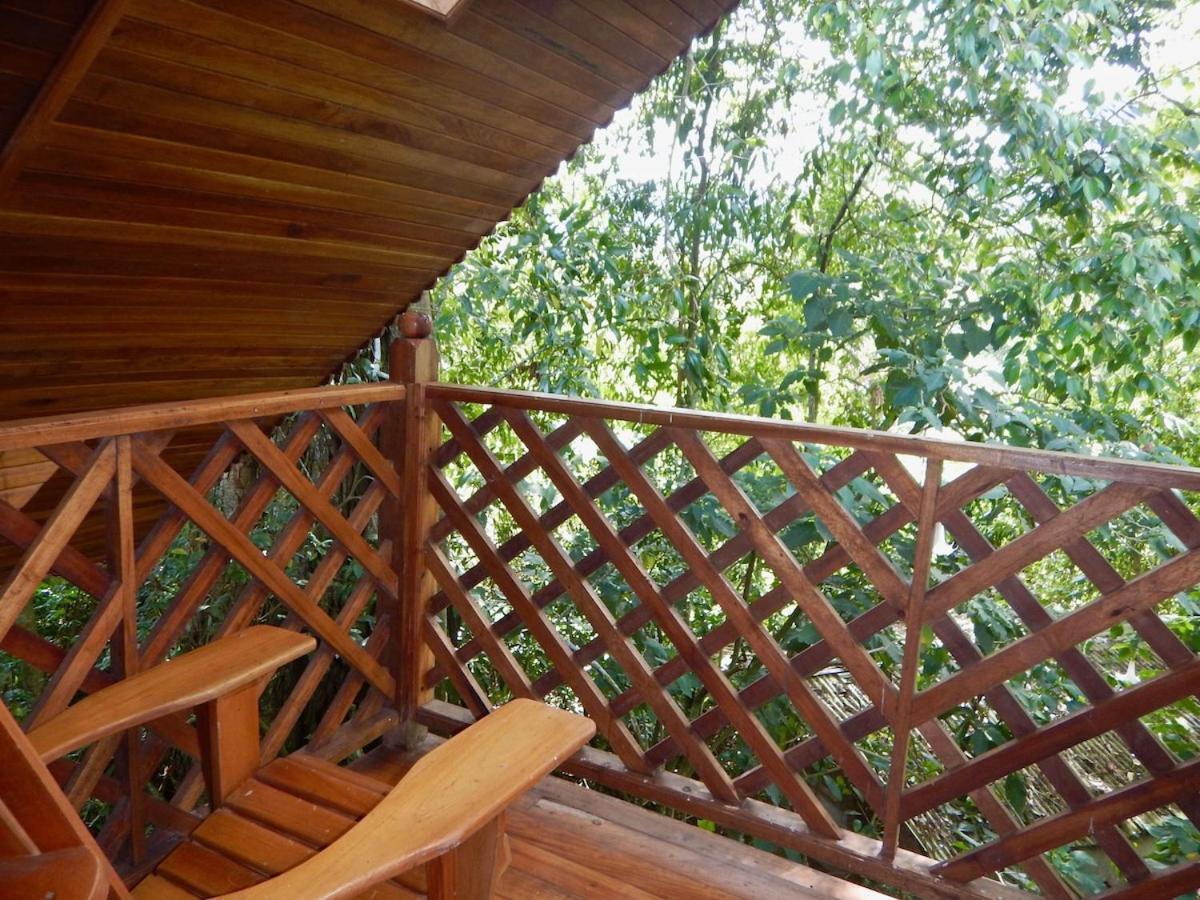 Los Quetzales Ecolodge & Spa Серро-Пунта Екстер'єр фото
